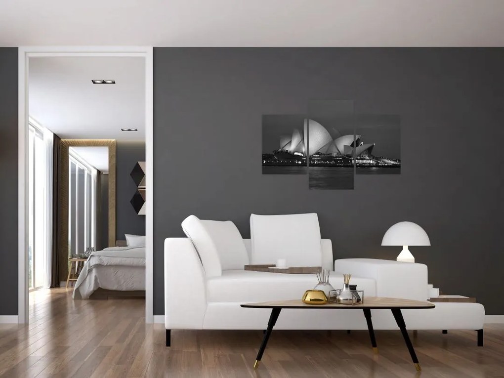 Tablou cu Opera din Sydney (90x60 cm)