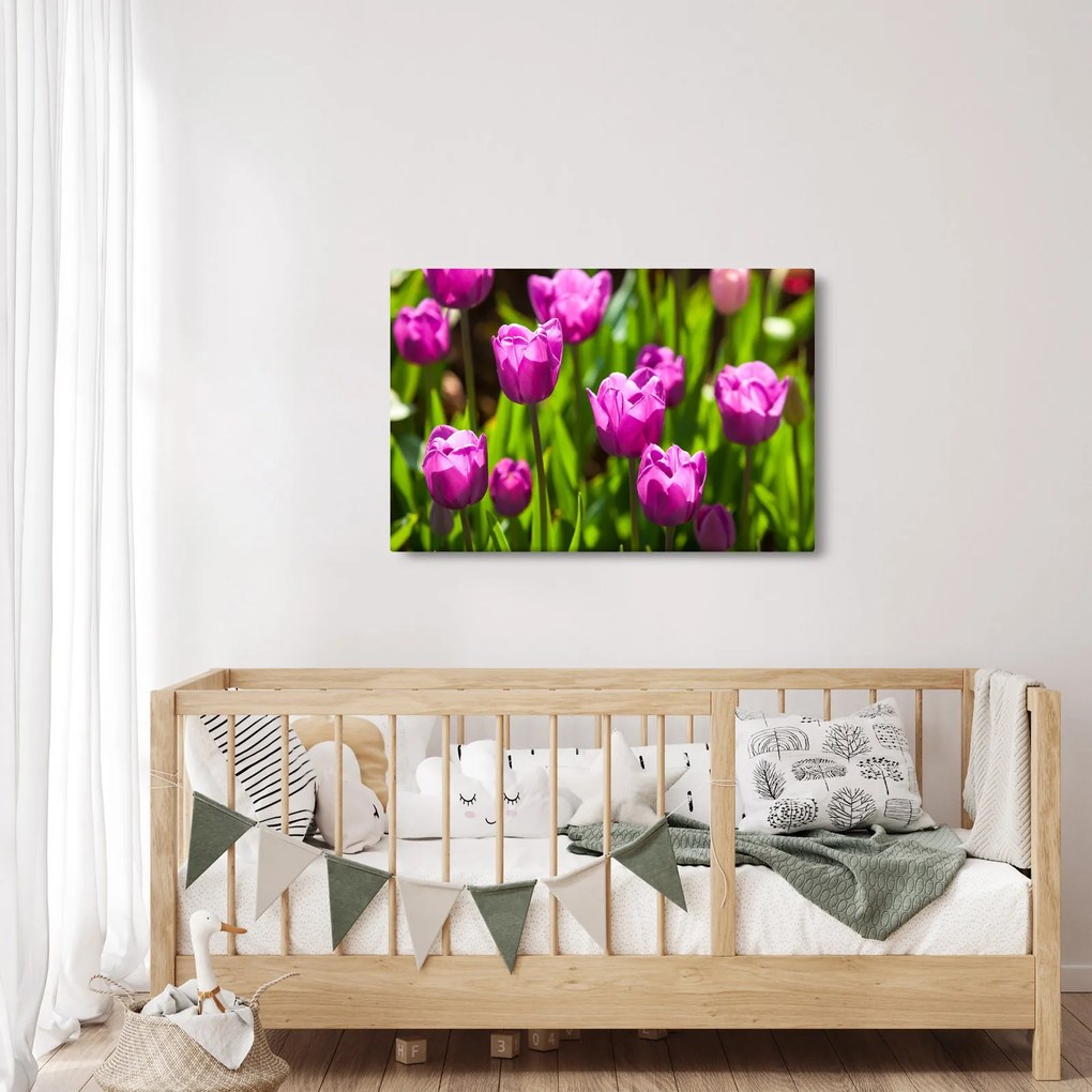 Tablou cu lale pe luncă (90x60 cm)