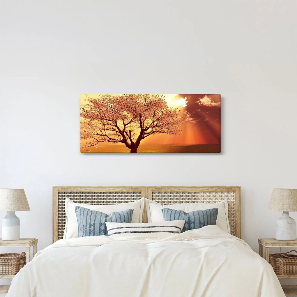 Tablou cu razele lui Dumnezeu (120x50 cm)