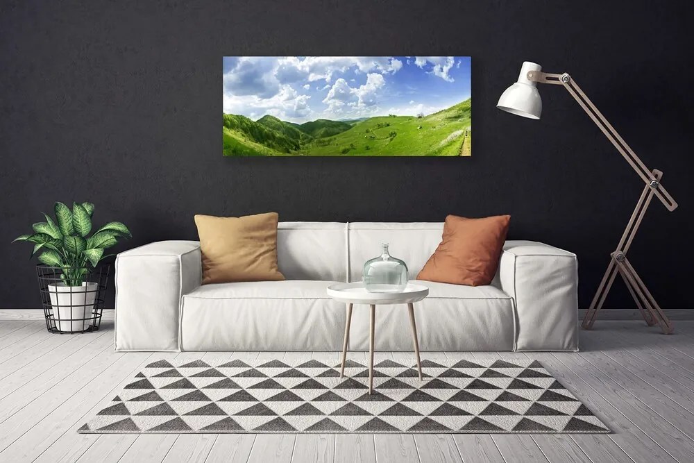 Tablou pe panza canvas Mountain Meadow Natura verde