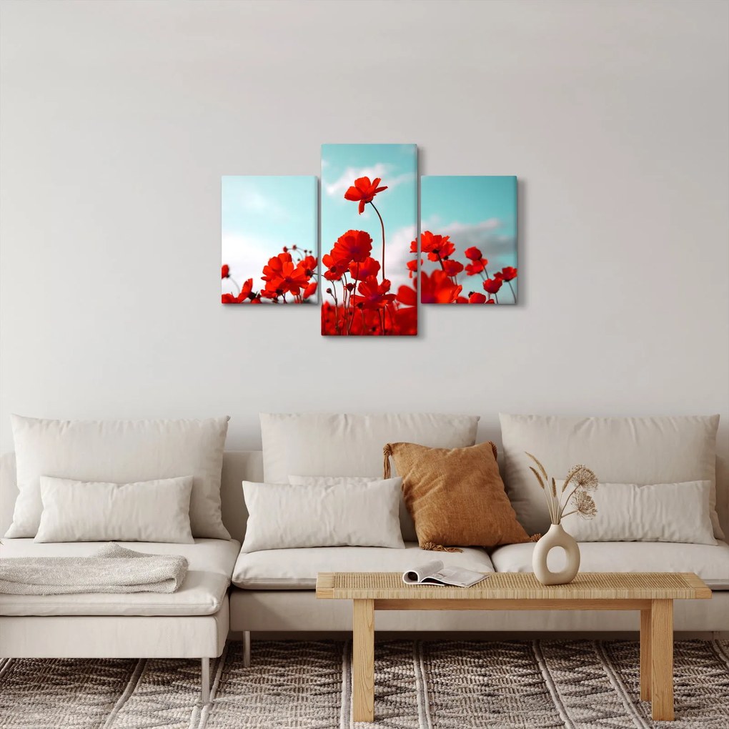 Tablou - Câmp cu flori roșu deschis (90x60 cm)