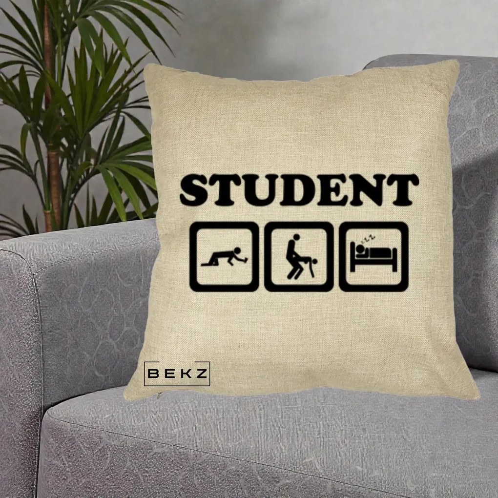 Perna Decorativa Student Life, 40x40 cm, Crem, Husa Detasabila, Perna Inclusa, BEKZ®