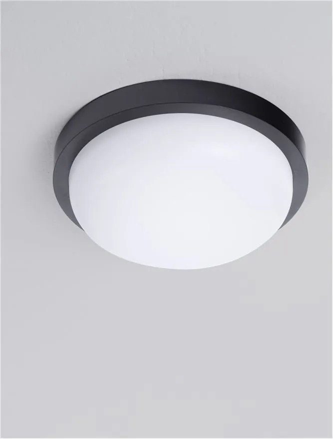 Mini Aplica LED exterior de perete/tavan, IP65, REO negru