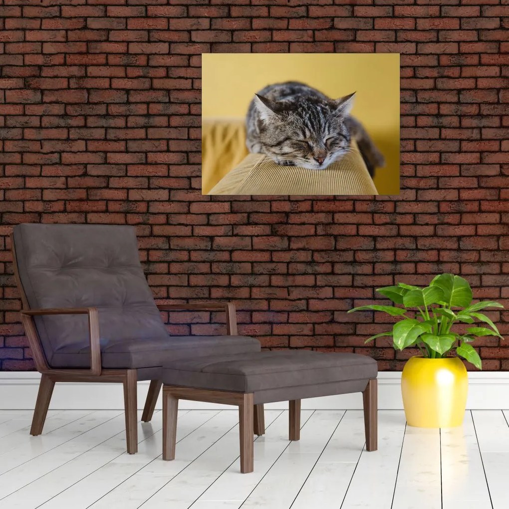 Tablou cu pisica pe fotoliu (70x50 cm)