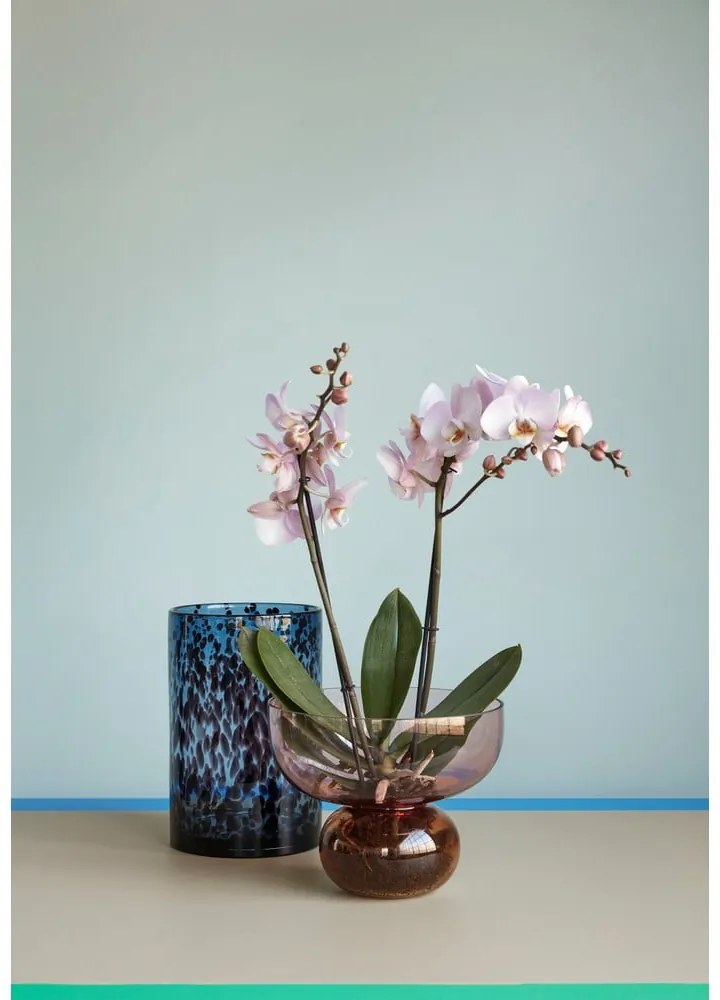 Set 2 vaze din sticlă Hübsch Hazy