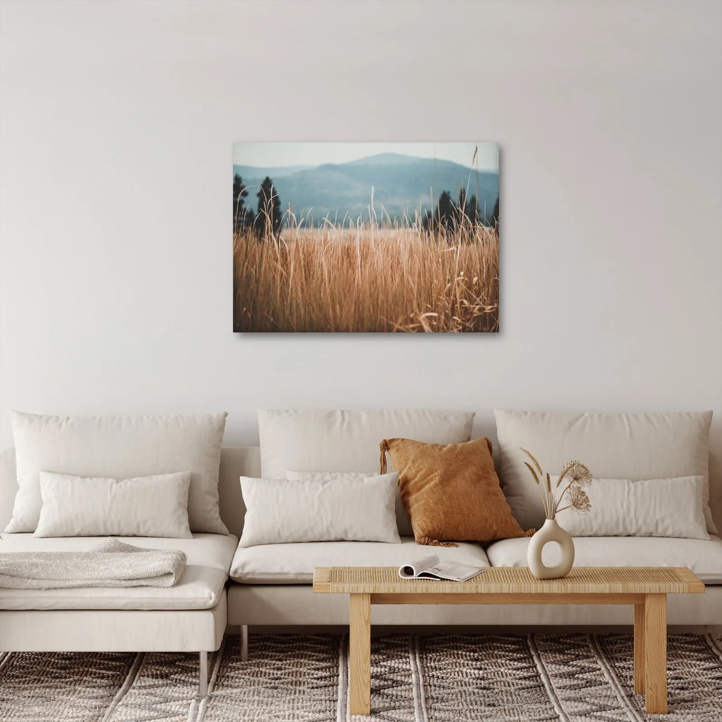 Tablou - detaliu spațiului de luncă (70x50 cm)