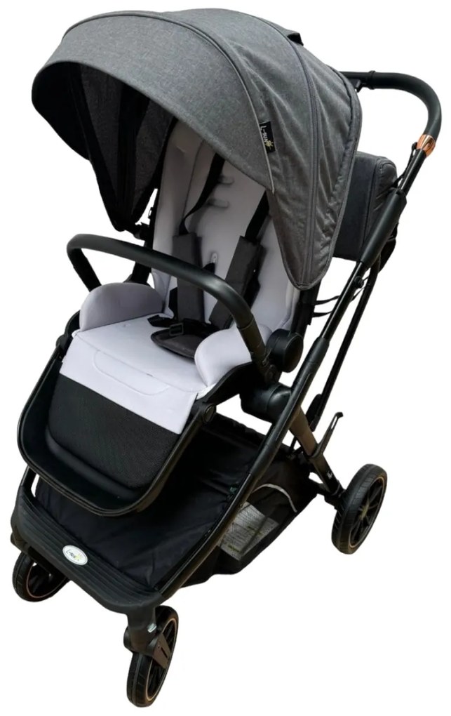 Carucior 2 in 1 pentru copii Usor si Compact - Pliabil, Sistem de absorbtie a socurilor, Scaun Reversibil - Gri - CPC-58-gri