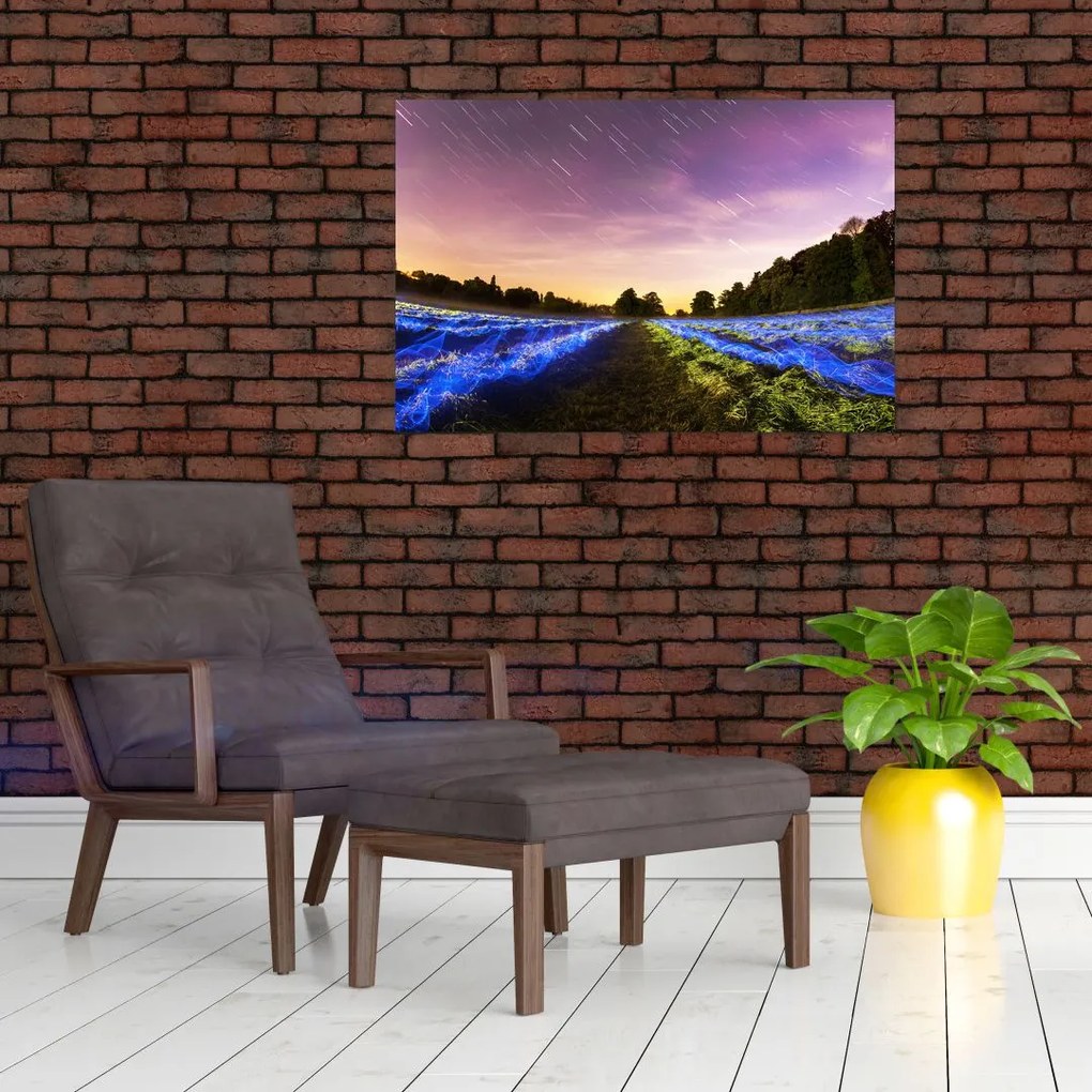 Tablou cu câmp colorat (90x60 cm)