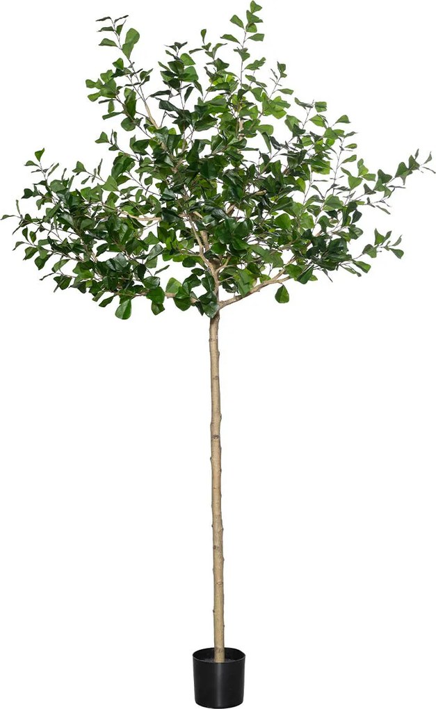 Copac artificial realist Ficus triangularis, dimensiuni multiple - PotteryPots mărimea: XL - ø 80 cm | înălțime 240 cm