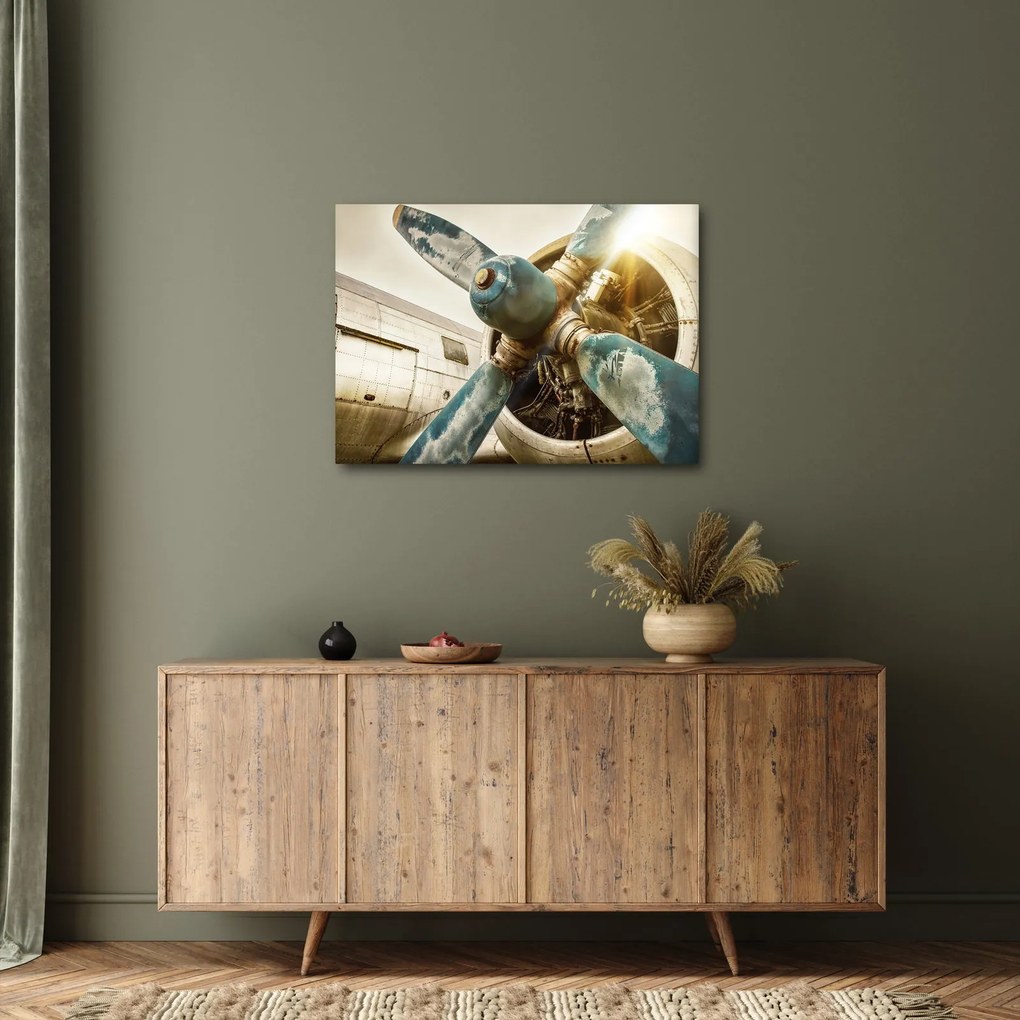 Tablou - Elice de avion vechi (70x50 cm)