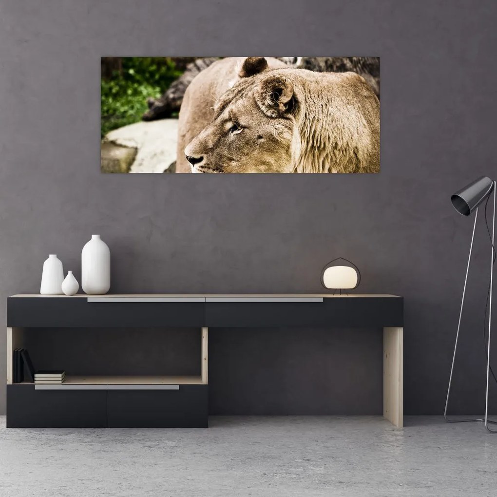 Tablou cu leoaică (120x50 cm)