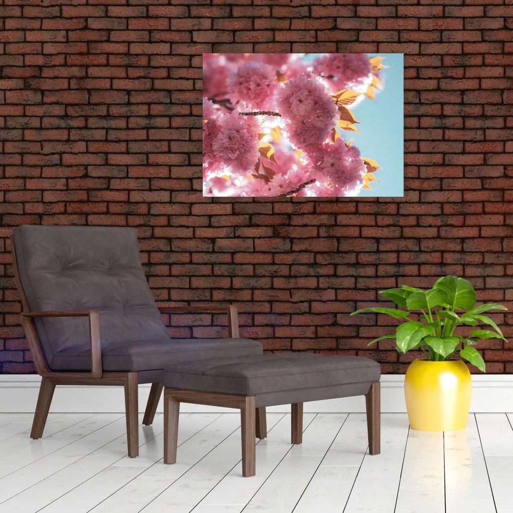 Tablou pe sticlă - Floare de cireș (70x50 cm)