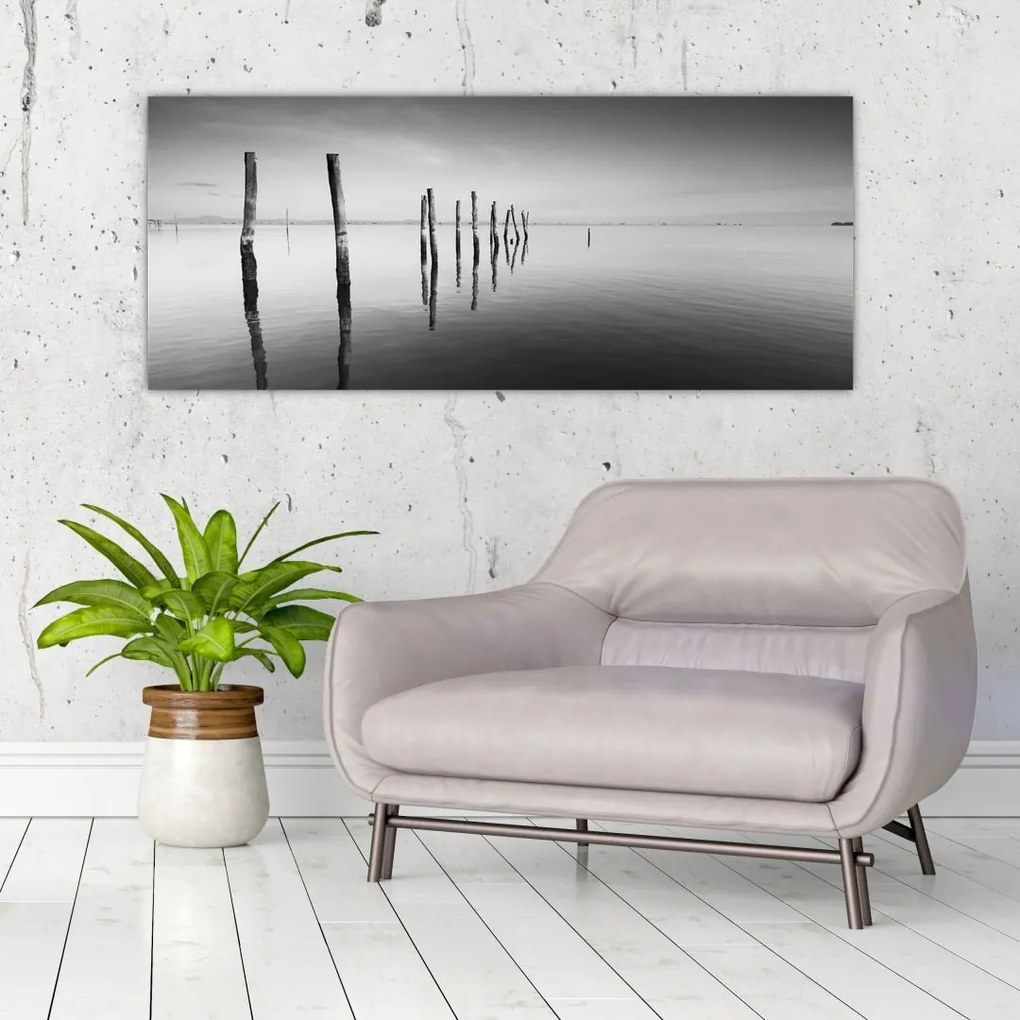 Tablou cu nivelul de lac alb negru (120x50 cm)