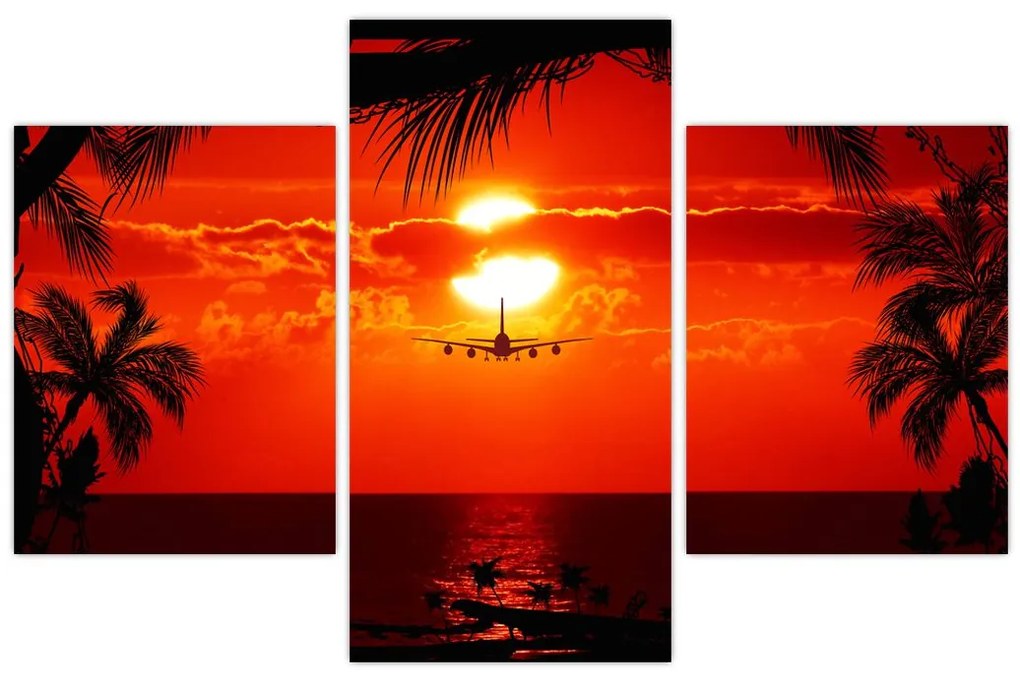 Tablou - apus de soare cu avion (90x60 cm)