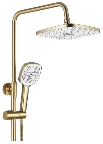 REA-P7841 - Set de duș ARGUS cu baterie, finisaj auriu periat