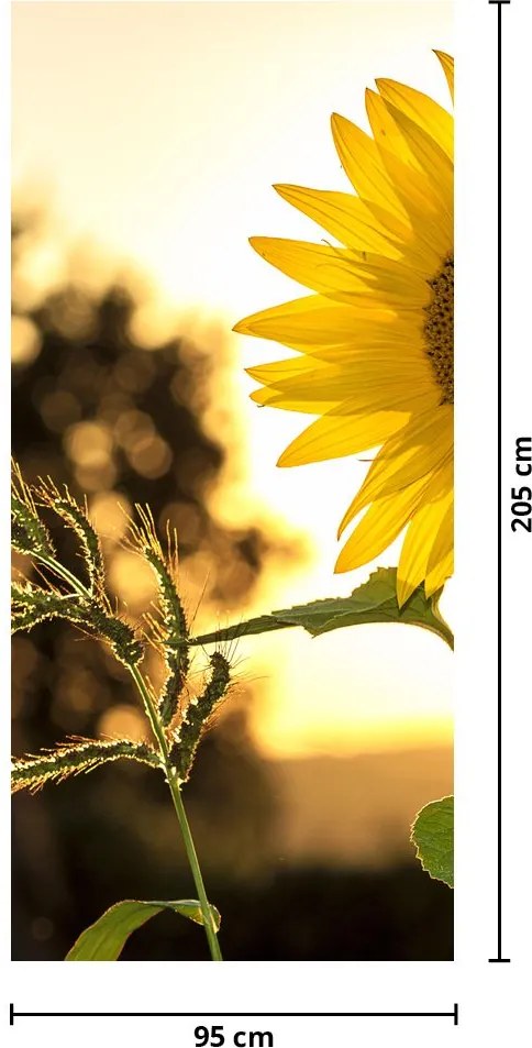 Fototapet pentru ușă - Floarea soarelui (95x205cm)