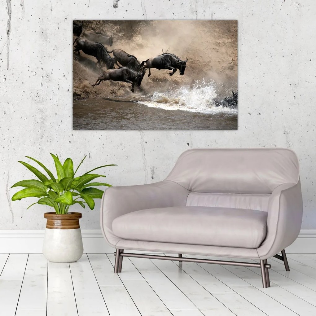 Tablou - Turmă de gnu (90x60 cm)