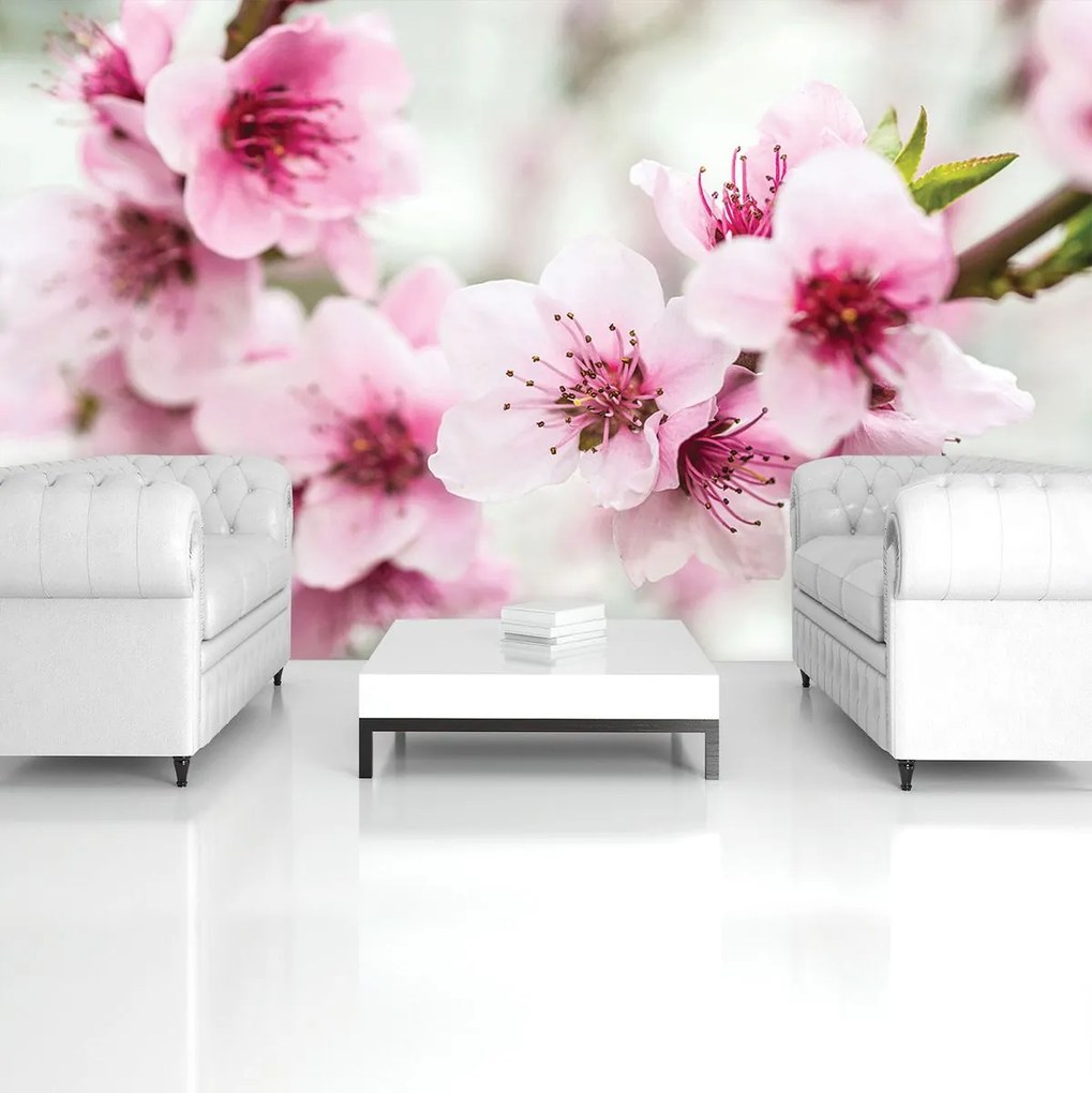 Fototapet - Flori (152,5x104 cm)