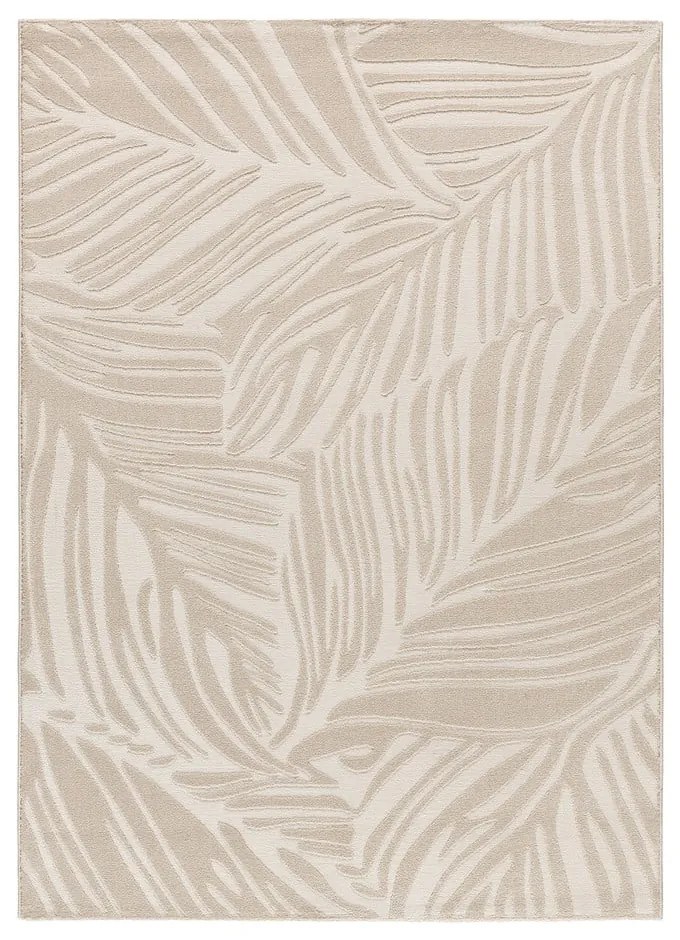 Covor crem 80x150 cm Sensation – Universal