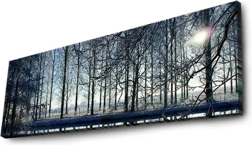 Tablou 3090DACT-37, multicolor, panza, cu iluminare LED, 90x30 cm