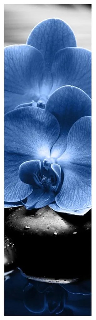 Fotojaluzele R015465R42150 (42x150 cm)