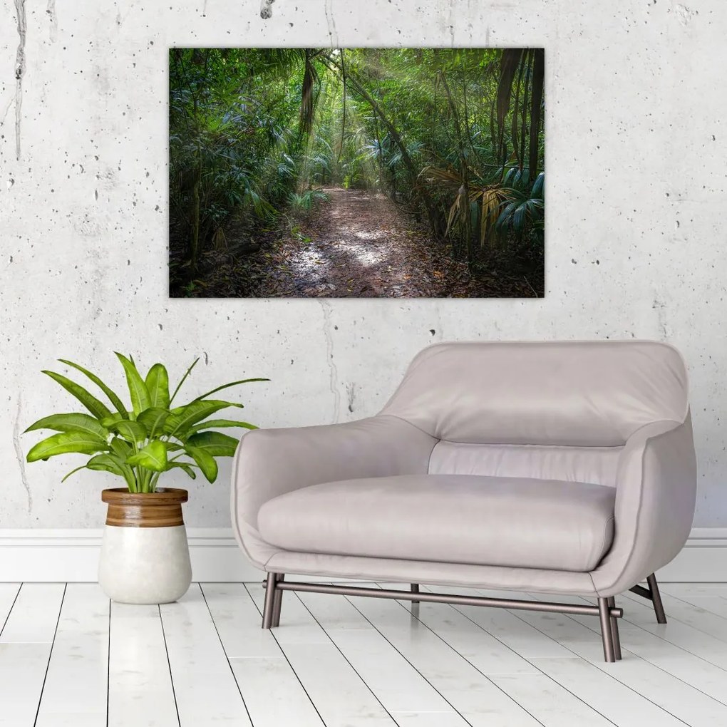 Tablou - Razele solare în junglă (90x60 cm)