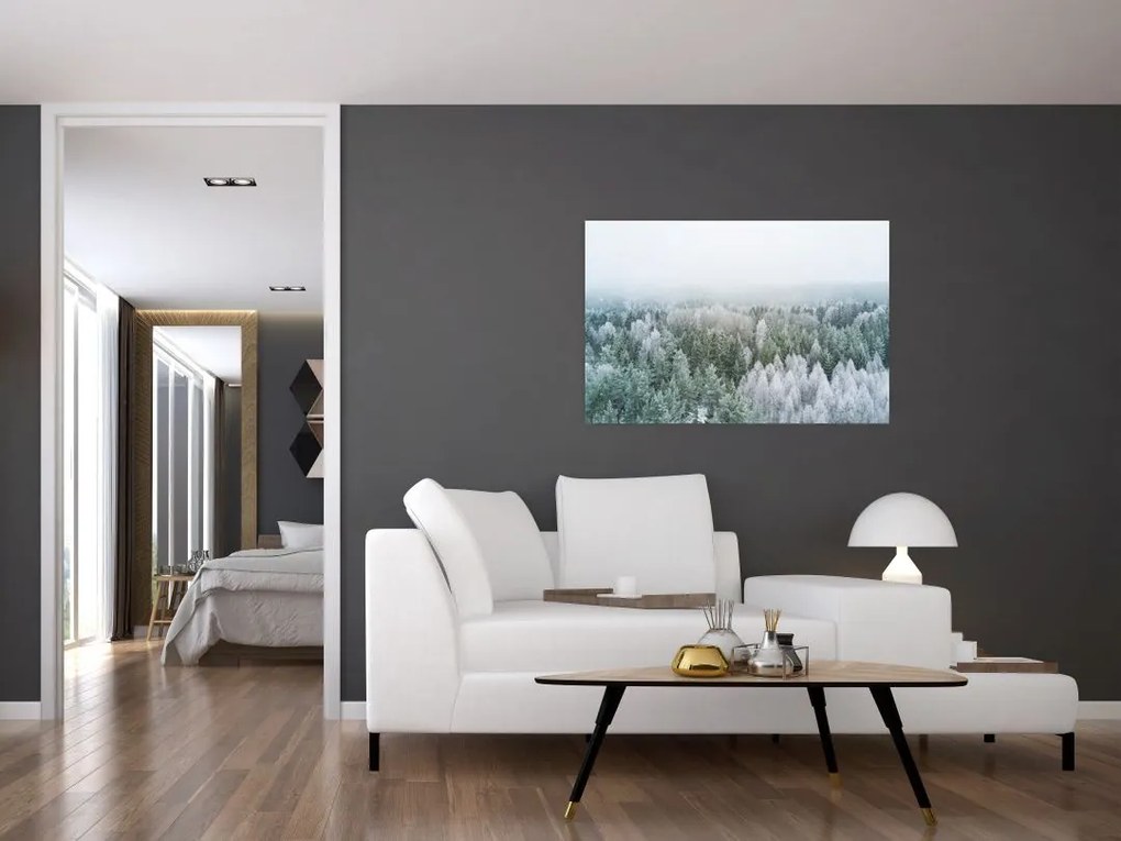 Tablou - Crestele munțillor înzăpezite (90x60 cm)