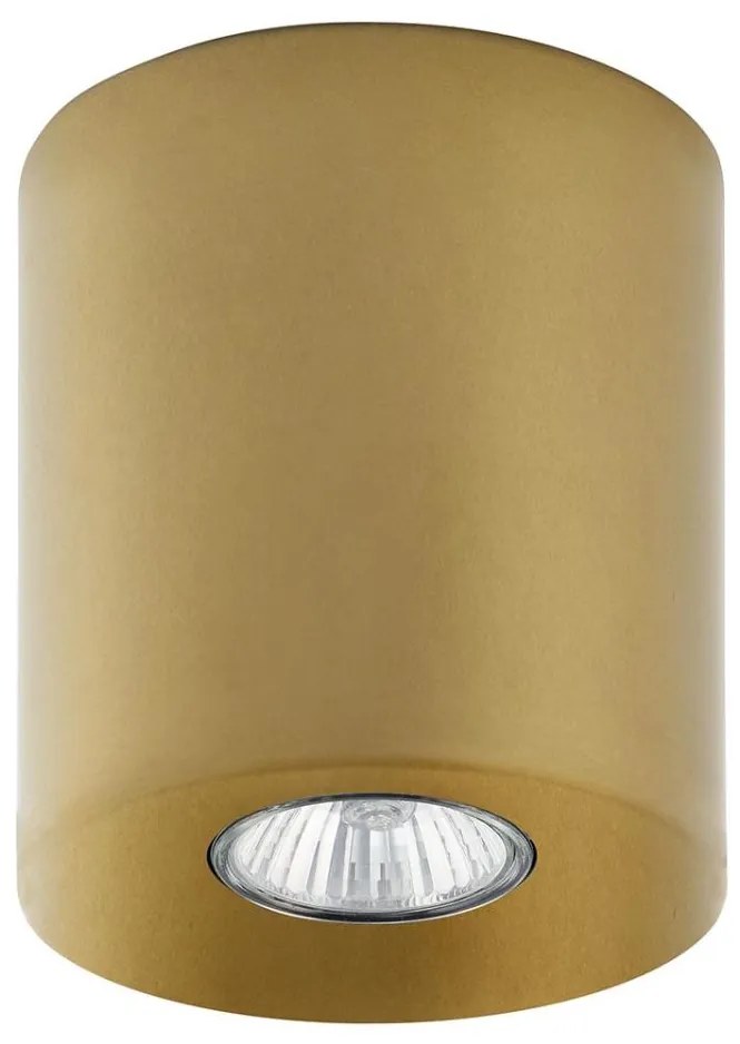 Spot ORION 1xGU10/10W/230V auriu