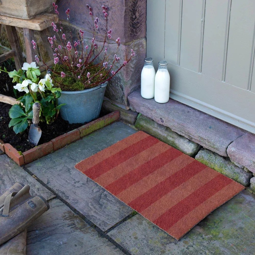 Covoraș de intrare din fibre de nucă de cocos 40x60 cm Pink Stripe – Artsy Doormats