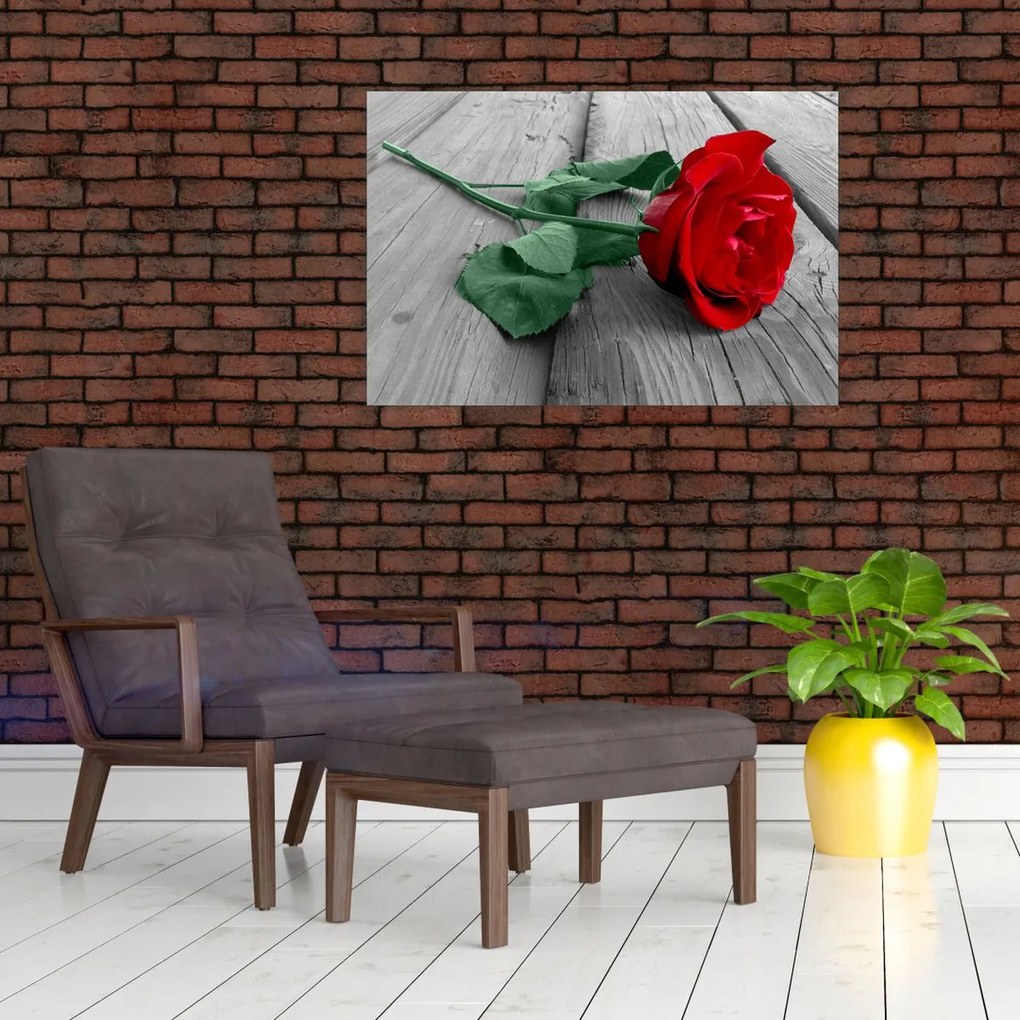 Tablou - Trandafir roșu cu tulpină verde (90x60 cm)