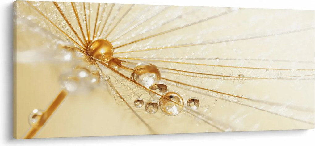 Tablou - Fotografie macro de păpădie (120x50 cm)