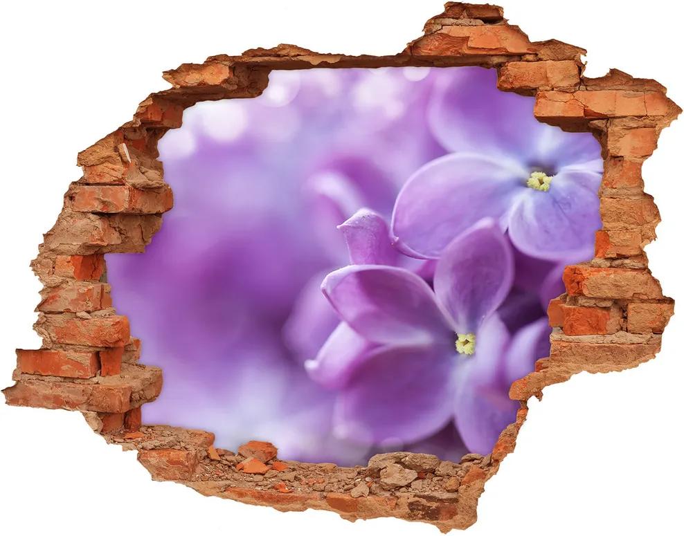 Autocolant un zid spart cu priveliște Flori de liliac