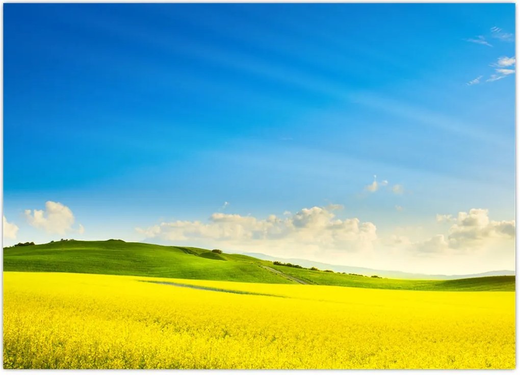 Tablou - Cerul de primăvară (70x50 cm)