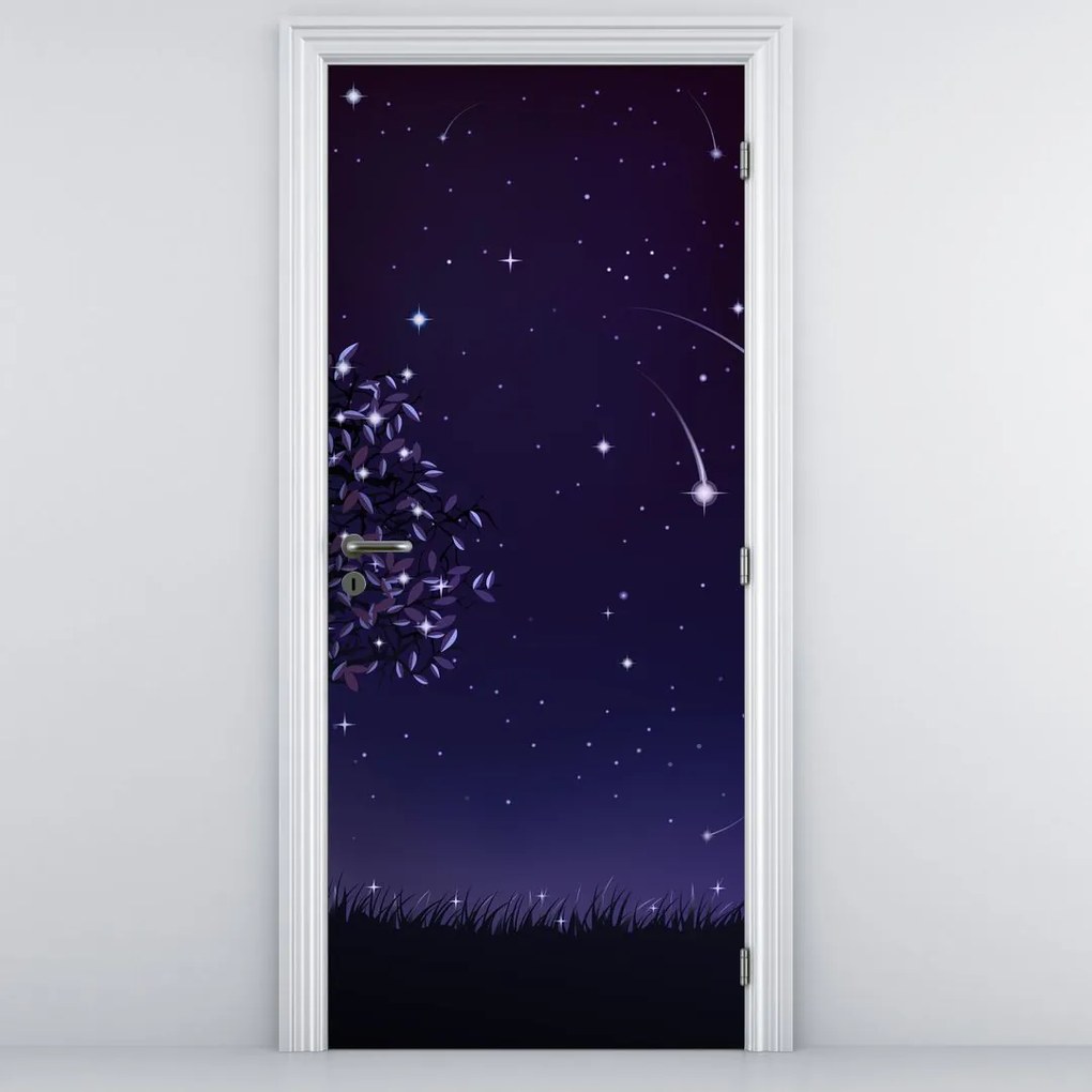 Fototapet pentru ușă - Noapte surprinsă prin ilustrație (95x205cm)