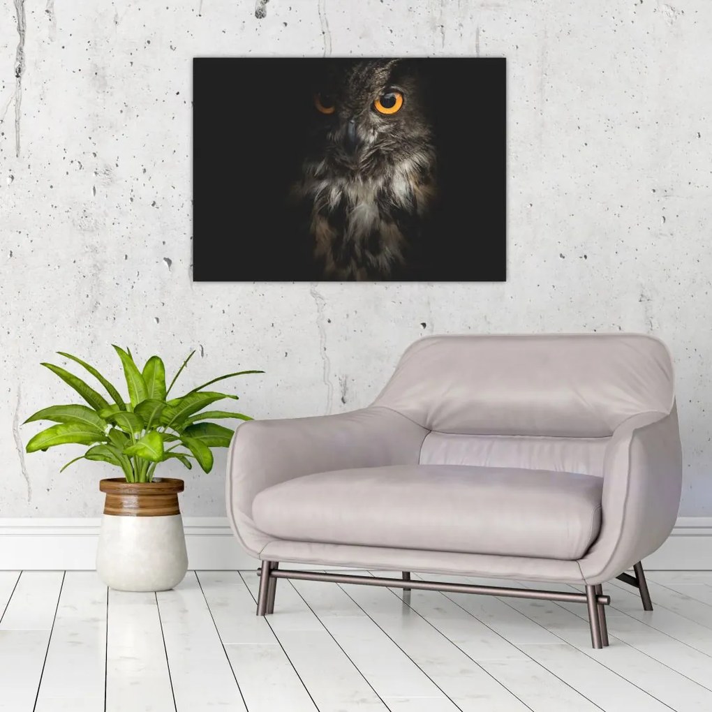 Tablou cu bufnița (70x50 cm)