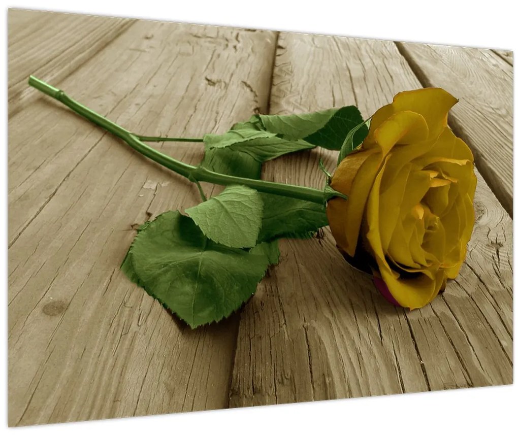 Tablou - Vintage trandafiri galbeni (90x60 cm)