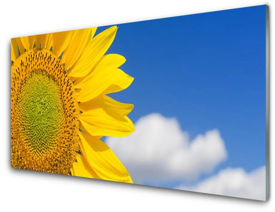 Tablou pe sticla acrilica Nori de floarea-soarelui Floral aur galben albastru