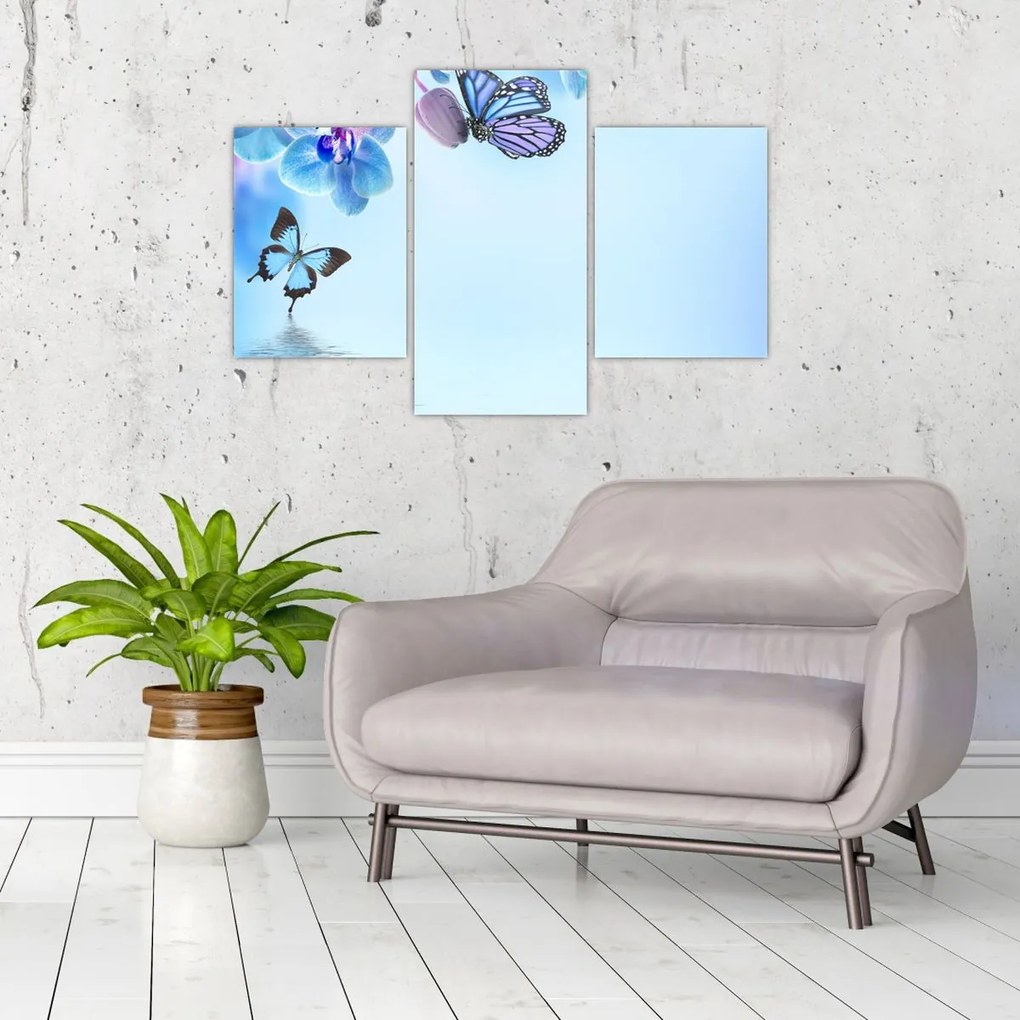 Tablou - Fluture pe flori de orhidee, albastru (90x60 cm)
