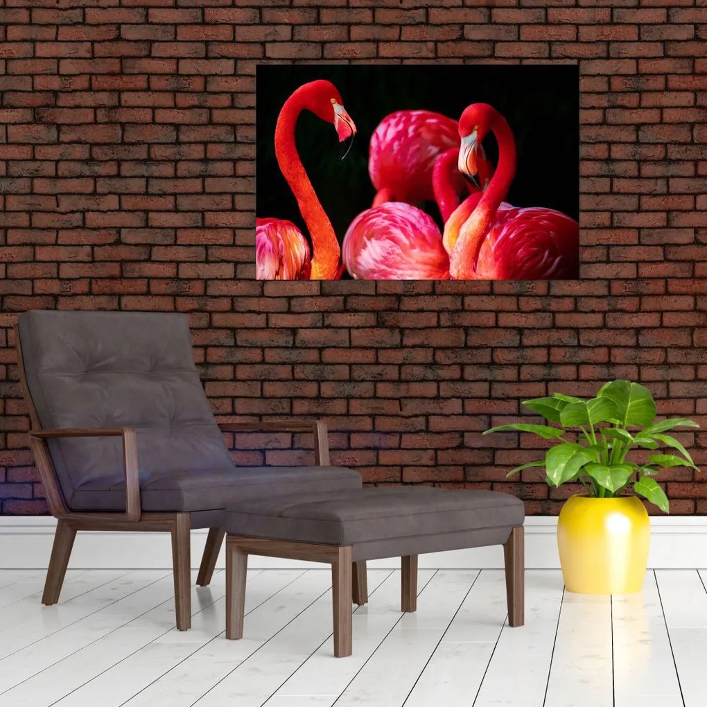 Tablou cu flamengo roșii (90x60 cm)