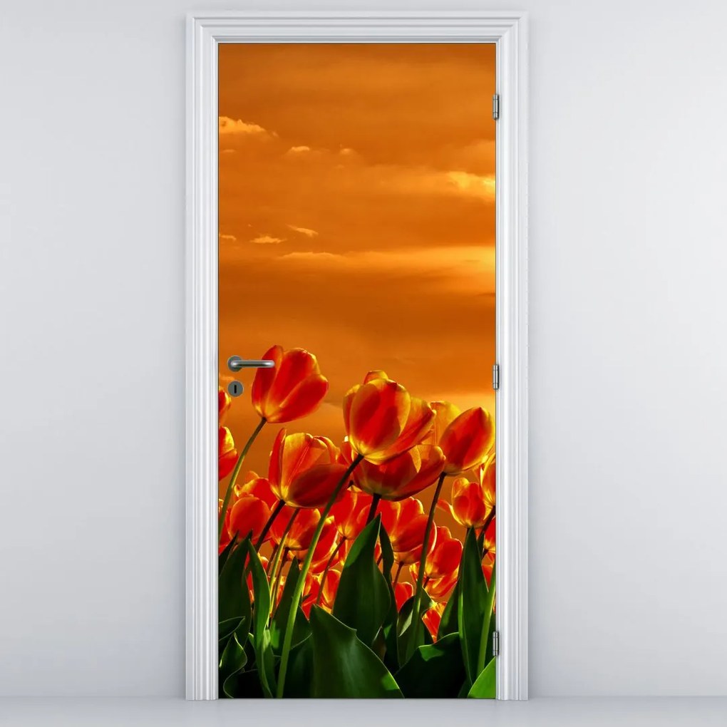 Fototapet pentru ușă - Câmp înflorit cu lalele (95x205cm)