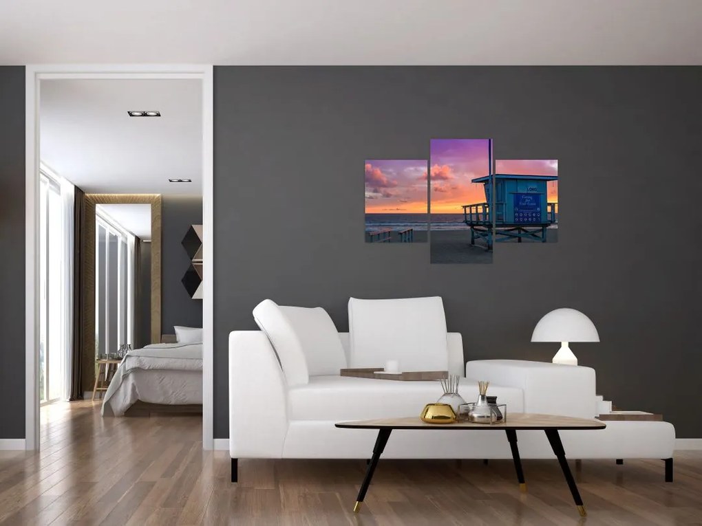 Tablou de pe plaja Santa Monica (90x60 cm)