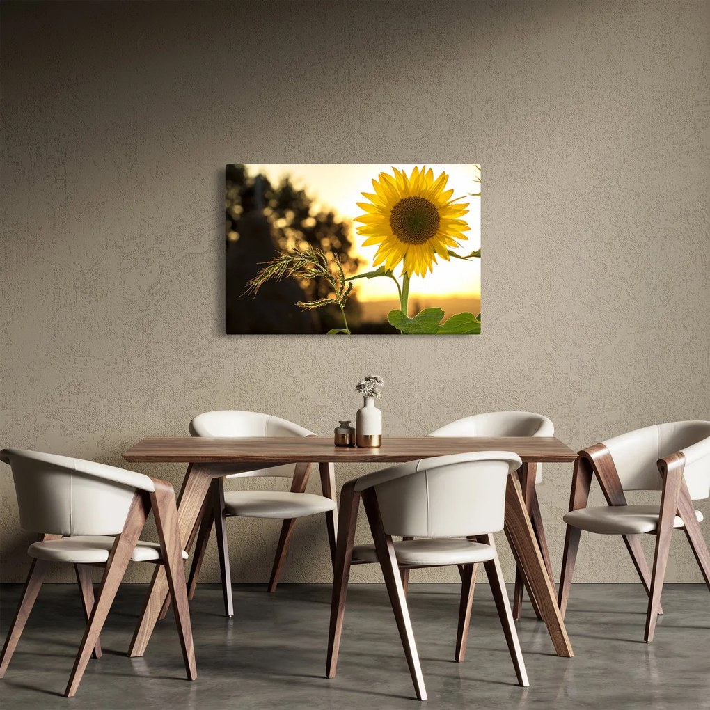 Tablou cu floarea soarelui (90x60 cm)