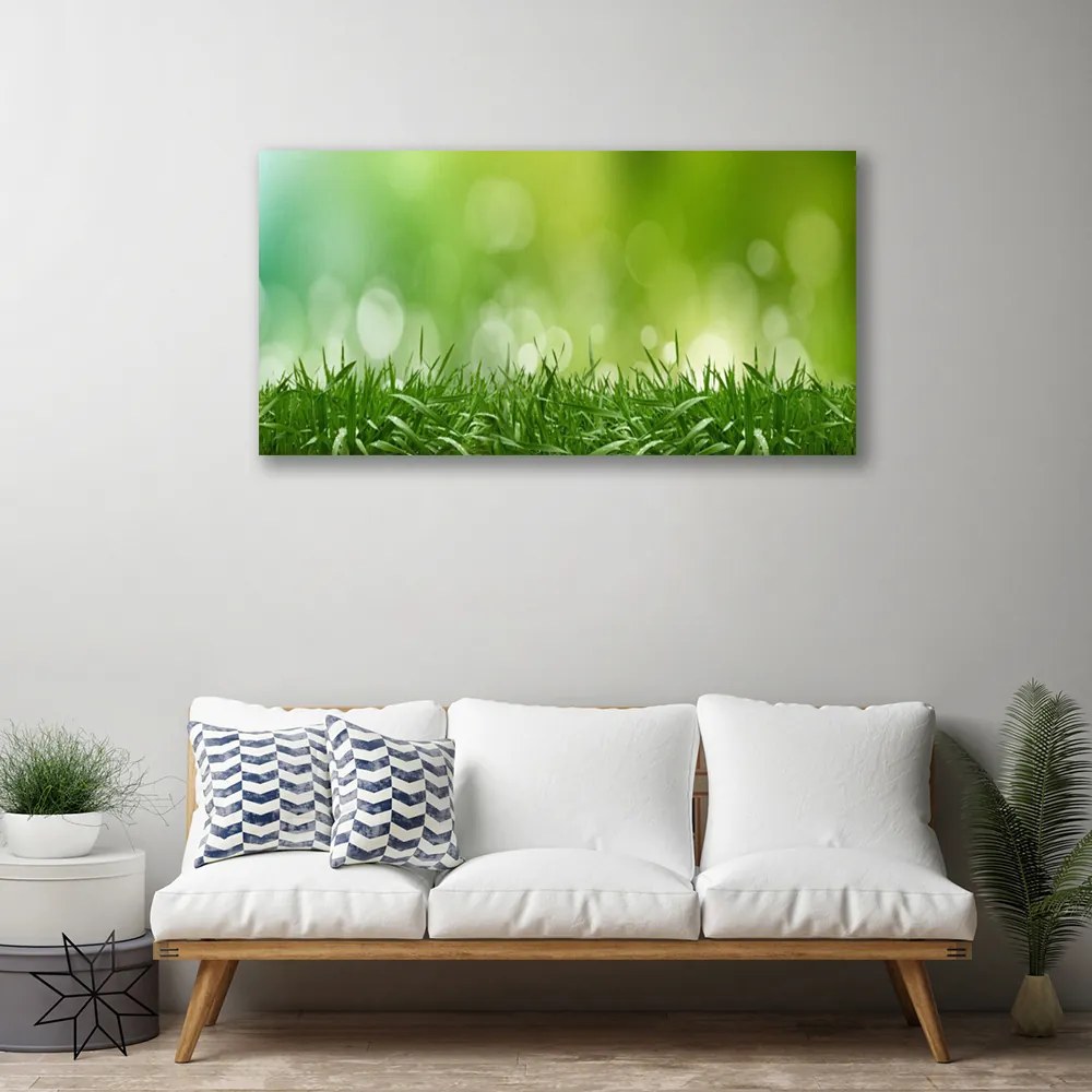 Tablou pe panza canvas Weed Natura verde