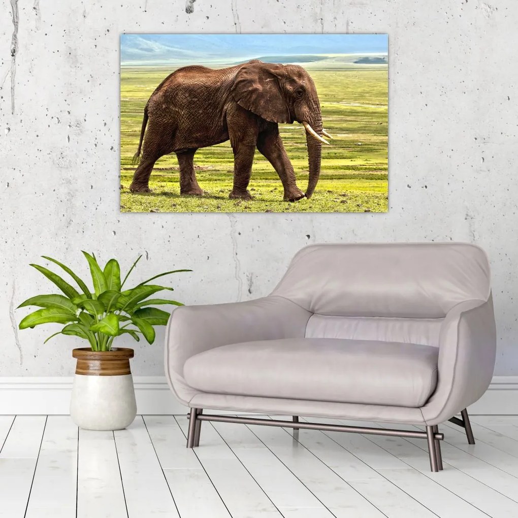 Tablou - Elefantul (90x60 cm)