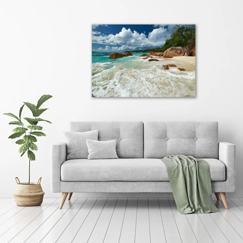 Tablou canvas Plaja seychelles