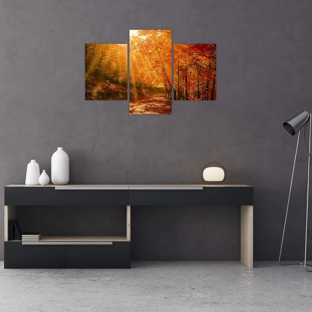 Tablou cu pădurea în toamnă (90x60 cm)