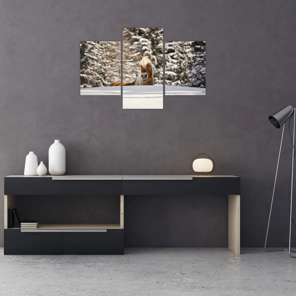 Tablou - Cal în peisaj de iarnă (90x60 cm)