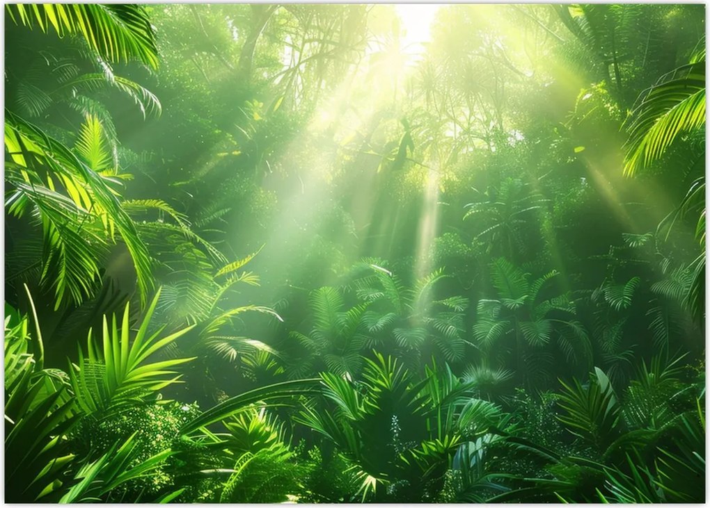 Tablou - Pădurea tropicală (70x50 cm)