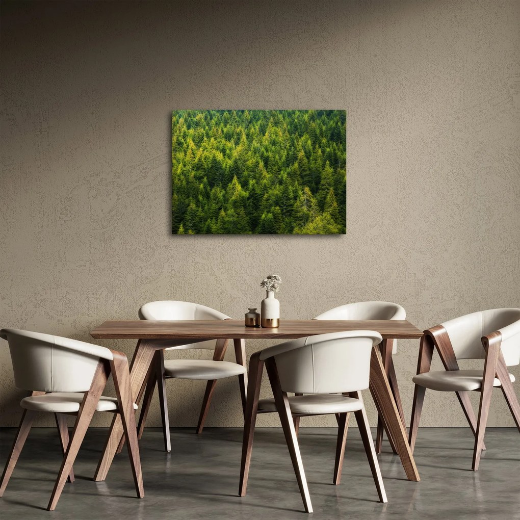 Tablou - Pădure deasă (70x50 cm)