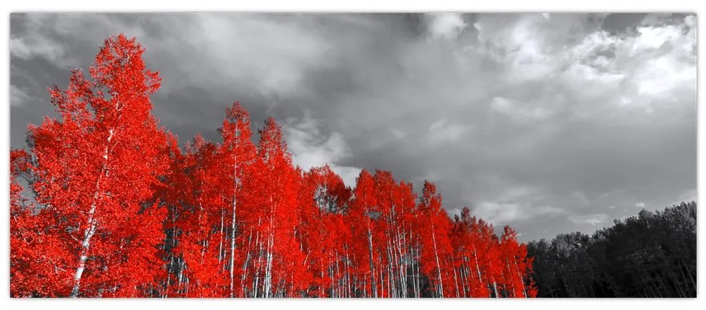 Tablou - Copaci în culorile toamnei (120x50 cm)